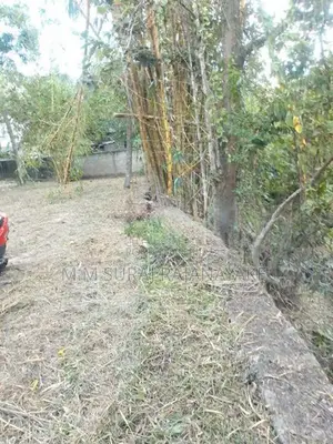 කිඹුලාපිටියෙන් පර්චස් 100ක් විකිණීමට ඇත
