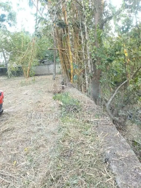 කිඹුලාපිටියෙන් පර්චස් 100ක් විකිණීමට ඇත