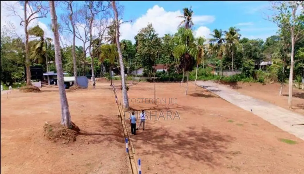 සුන්දර වෙල් යායකට මුහුණලා ඉඩමක් - කැකනදුර