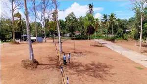 සුන්දර වෙල් යායකට මුහුණලා ඉඩමක් - කැකනදුර