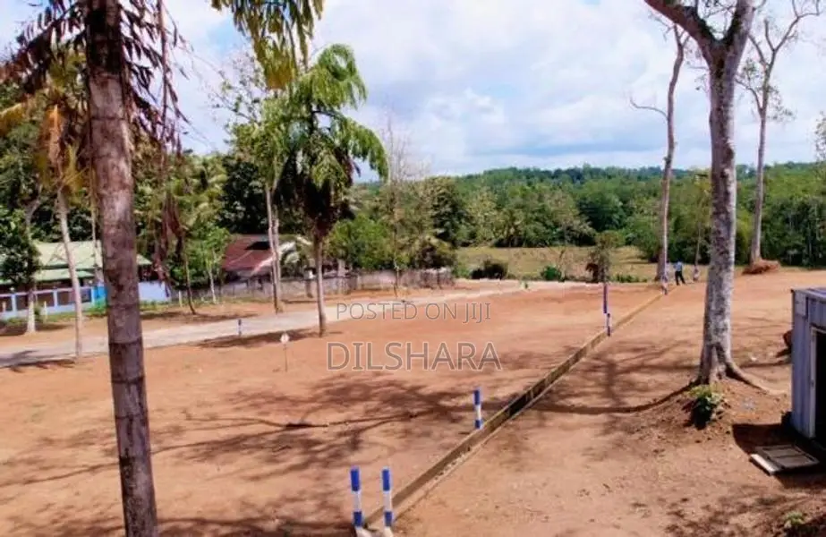 සුන්දර වෙල් යායකට මුහුණලා ඉඩමක් - කැකනදුර