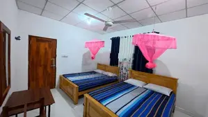 ලයන් හෝම්ස්ටේ අනුරාධපුර (Lion Homestay Anuradhapura)