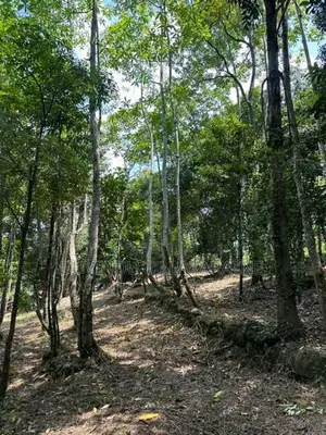 Tranquil Land for Sale in Unawatuna