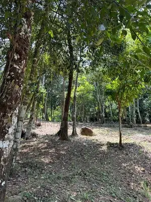 Tranquil Land for Sale in Unawatuna