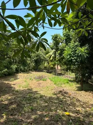 Tranquil Land for Sale in Unawatuna
