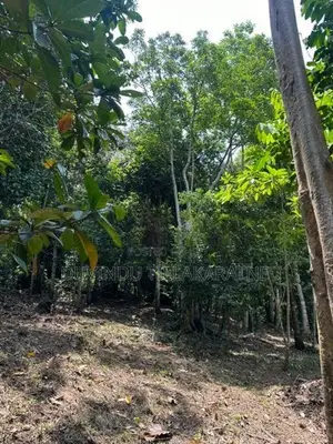 Tranquil Land for Sale in Unawatuna