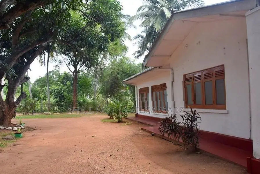 Anuradhapura Vidu Guests