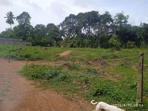 Land Sale Near Biyagama
