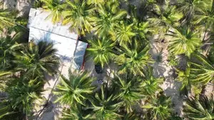 Coconut land with House for sale on Thalavila Kalpitiya main road.