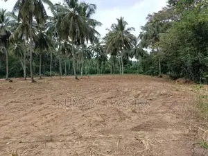 Valuable Land Close to Wellawaya Town