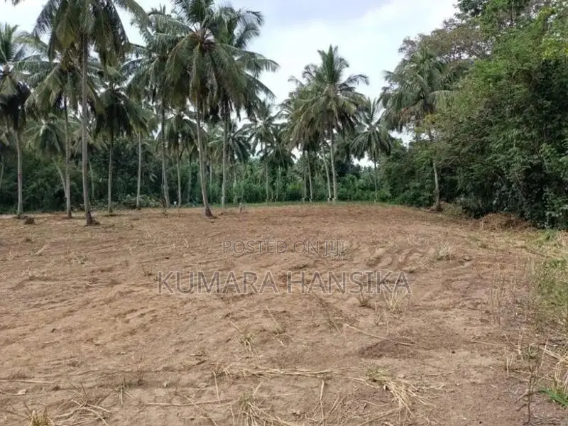 Valuable Land Close to Wellawaya Town