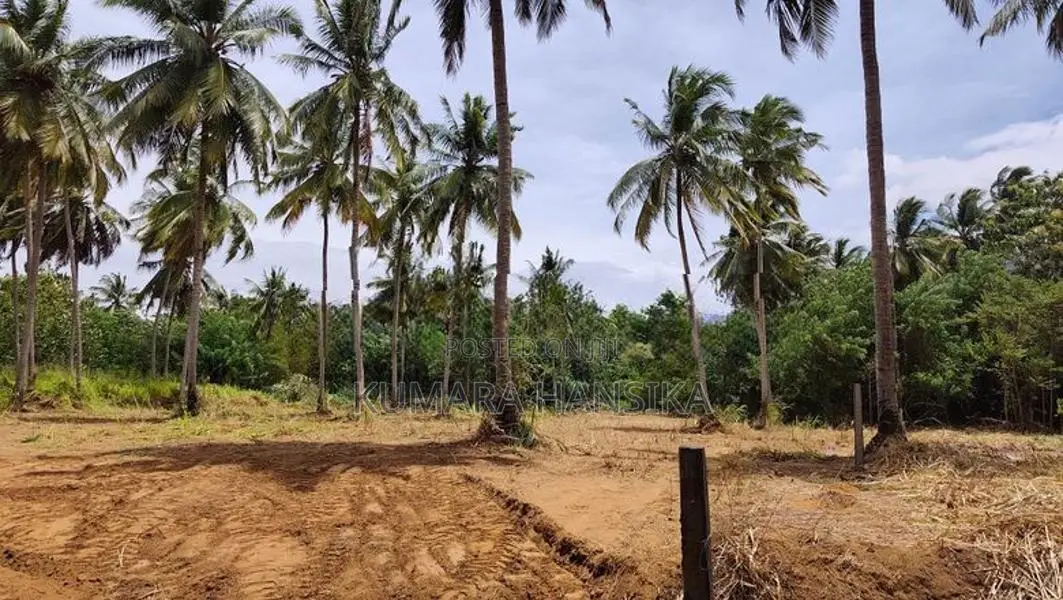 Valuable Land Close to Wellawaya Town