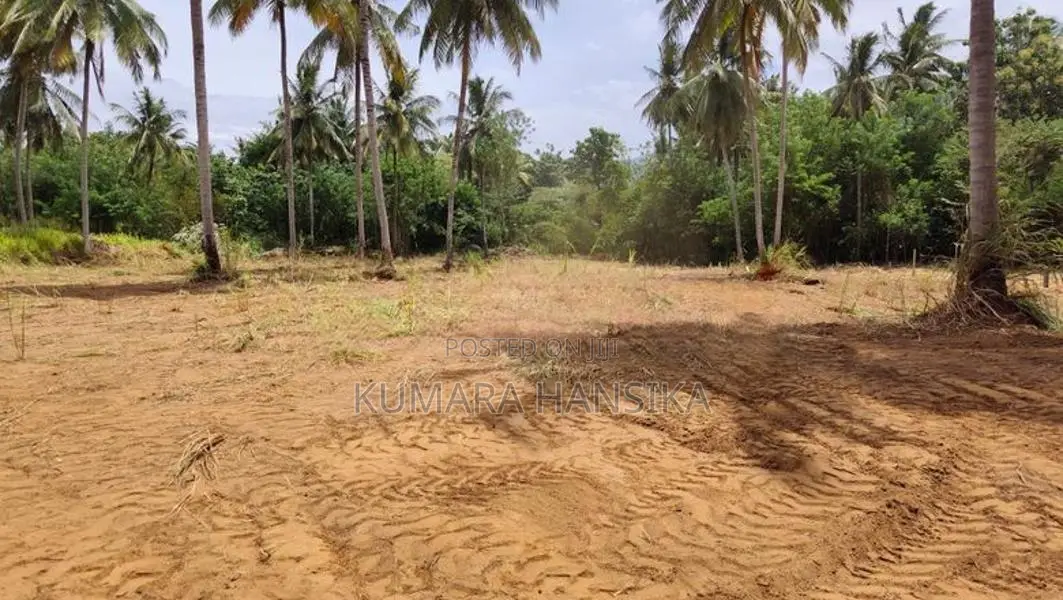 Valuable Land Close to Wellawaya Town