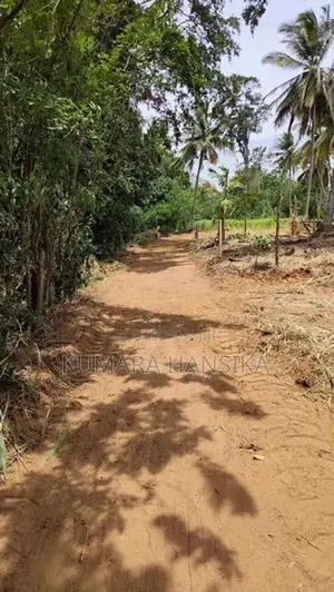 Valuable Land Close to Wellawaya Town