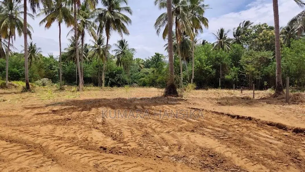 Valuable Land Close to Wellawaya Town