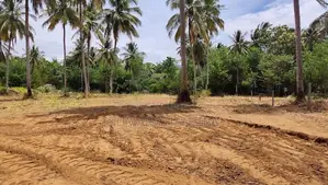 Valuable Land Close to Wellawaya Town