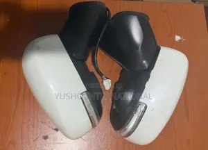 Suzuki Wagon R Stingray (MH55S) Side Mirror