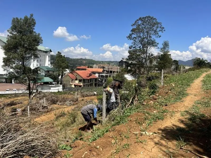 Land For Sale In Nuwara Eliya