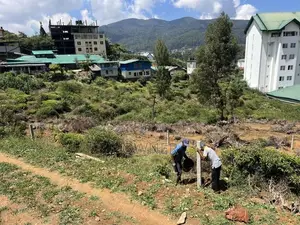 Land For Sale In Nuwara Eliya