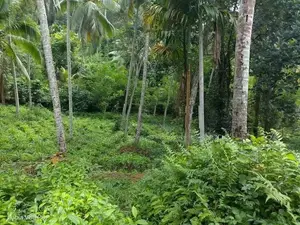 190P Land for sale in Kegalle