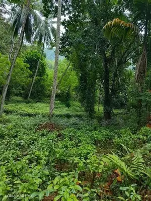 190P Land for sale in Kegalle