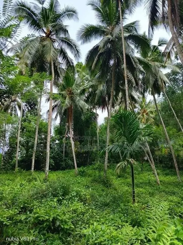190P Land for sale in Kegalle