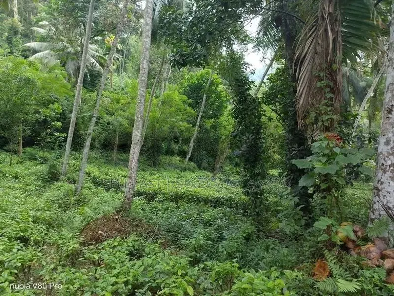 190P Land for sale in Kegalle