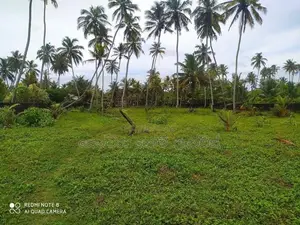 Prime 2 Acre Beachfront Land for Sale Wadduwa