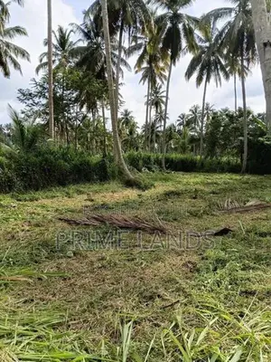 Narammala Land for Sale