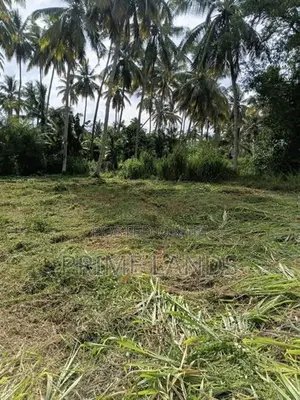 Narammala Land for Sale