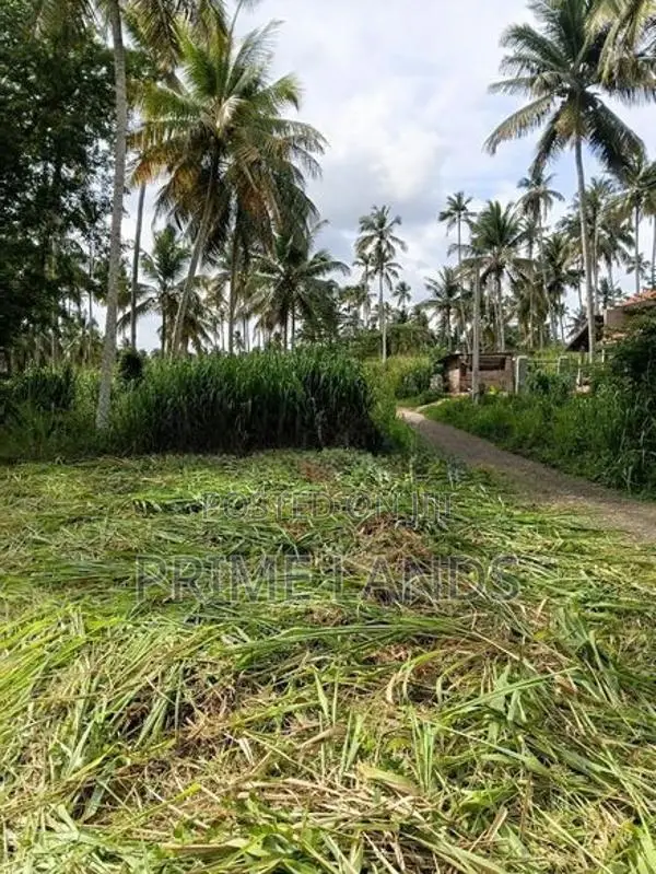 Narammala Land for Sale