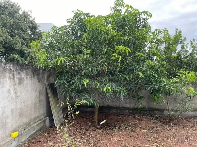 Super Land for Sale Battaramulla DS22101