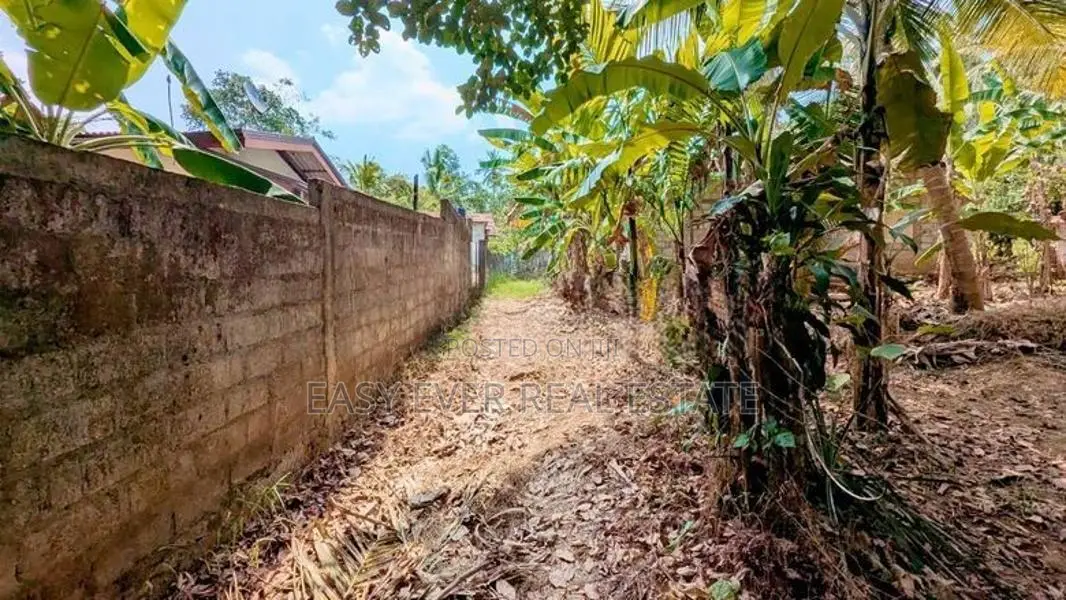නිට්ටඹුව – කලල්පිටිය නවගමුව පාරෙන් වටිනා ඉඩමක් විකිණීමට