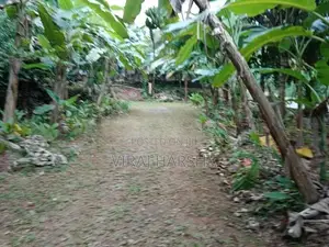 House With Land For Sale