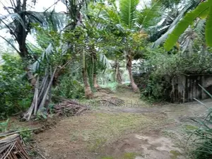 House With Land For Sale