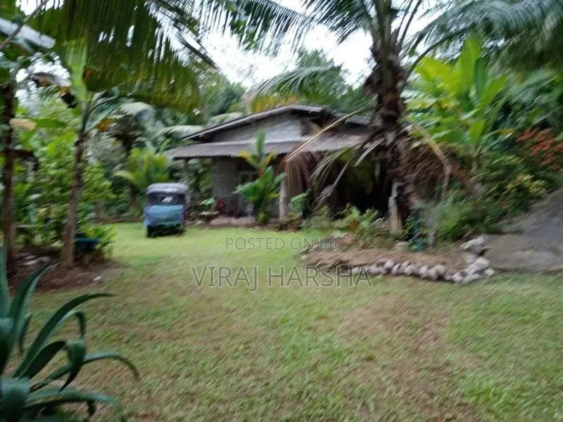 House With Land For Sale