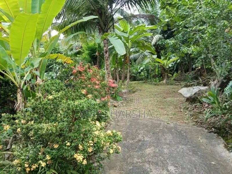 House With Land For Sale