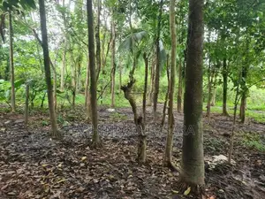 33.5 Land for Sale Demodara