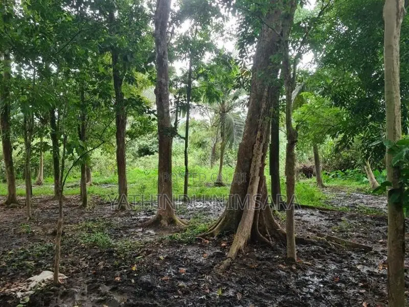 33.5 Land for Sale Demodara