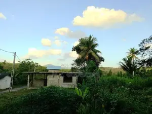 Land For Sale Padukka පාදුක්ක