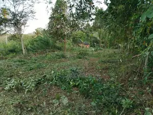 Land For Sale Padukka පාදුක්ක