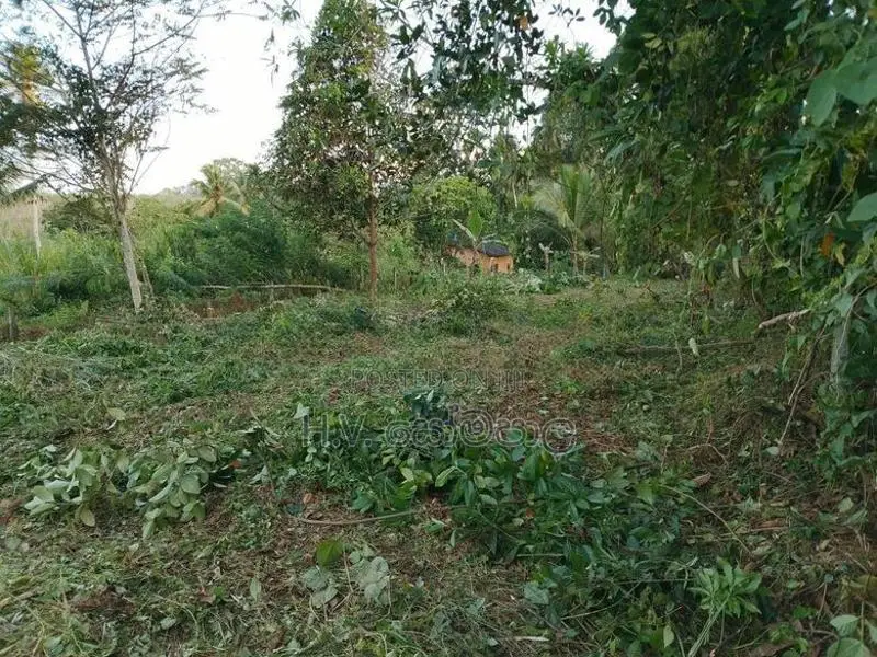 Land For Sale Padukka පාදුක්ක