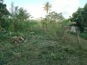 Land For Sale Padukka පාදුක්ක