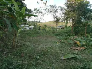 Land For Sale Padukka පාදුක්ක