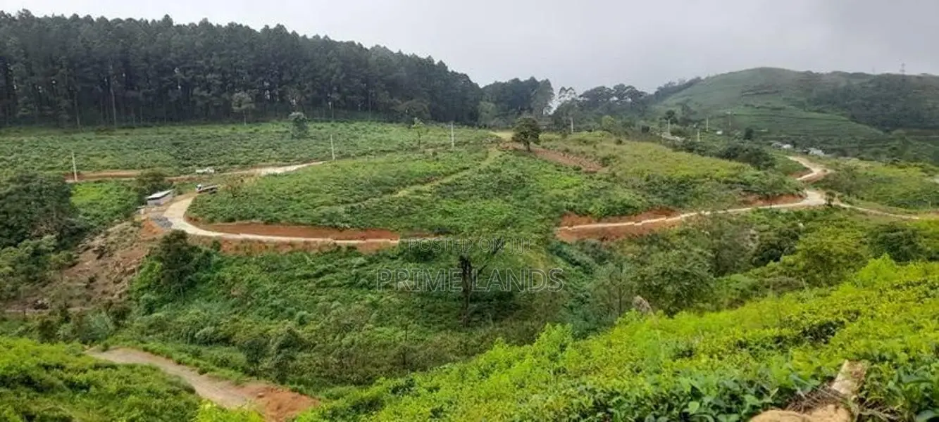 Valuable Land for Sale in Upper Glenloch Ramboda