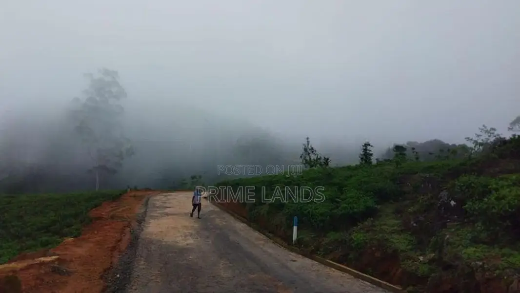 Valuable Land for Sale in Upper Glenloch Ramboda
