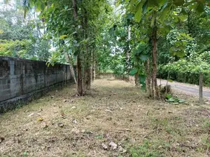 කඳවලින් ඉඩමක් විකිණීමට Land For Sale In Kandawala