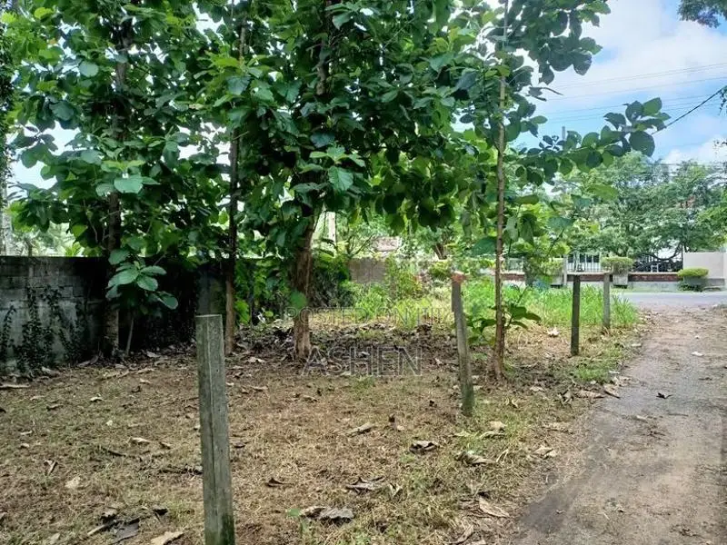 කඳවලින් ඉඩමක් විකිණීමට Land For Sale In Kandawala