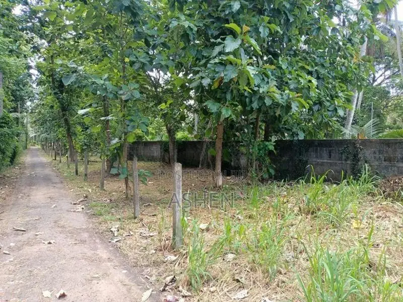 කඳවලින් ඉඩමක් විකිණීමට Land For Sale In Kandawala