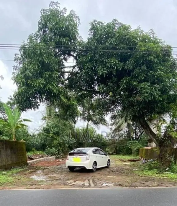 Land For Sale Malwana Road In Biyagama
